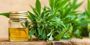 Custom cannabis & edibles product packaging labels